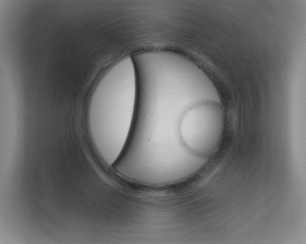 X0000113890638200909241143