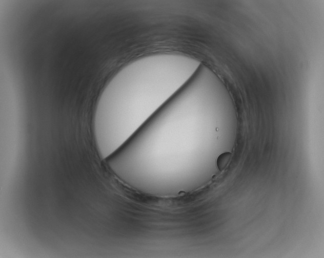 X0000113890641200909241143