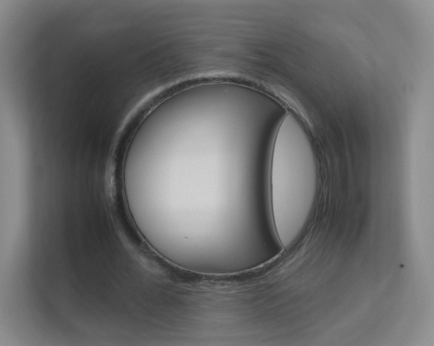 X0000113890676200909241143