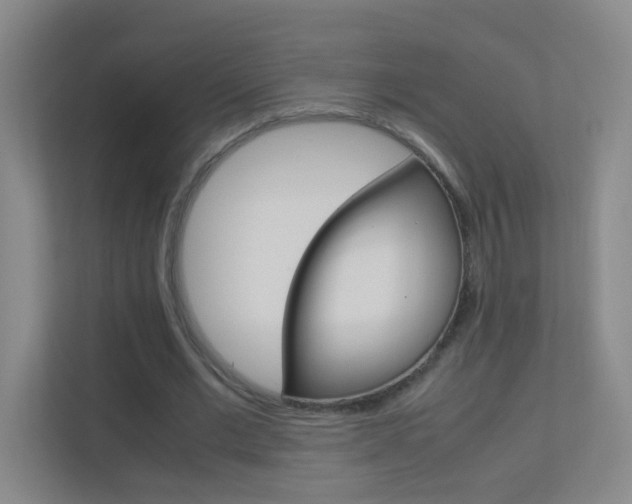 X0000113890677200909241143