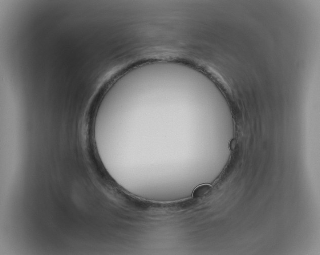 X0000113890679200909241143