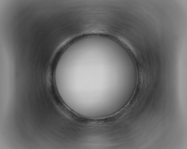 X0000113890680200909241143