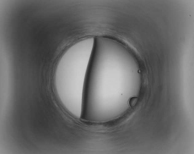 X0000113890685200909241143