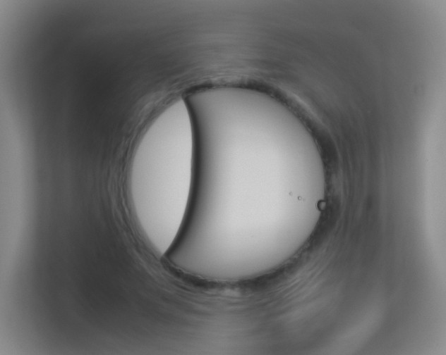 X0000113890687200909241142