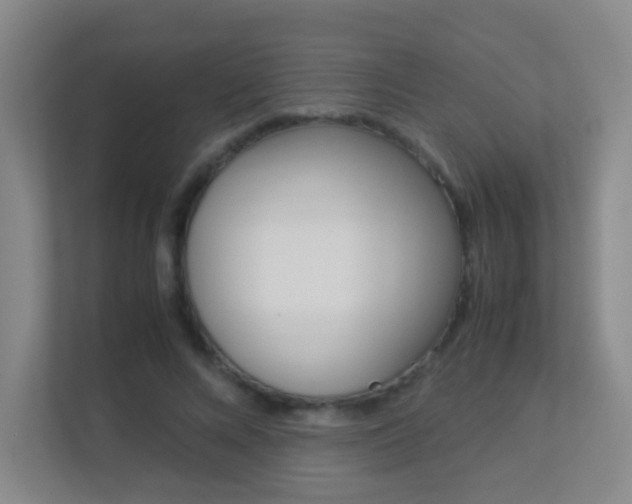 X0000113890688200909241142