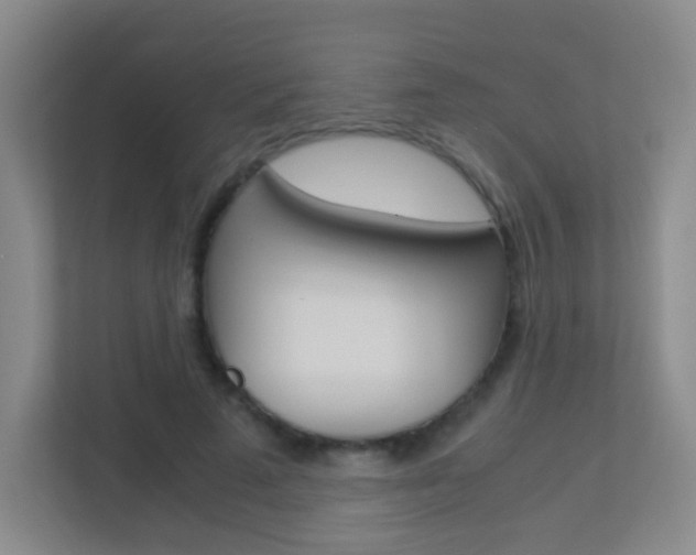 X0000113890689200909241142