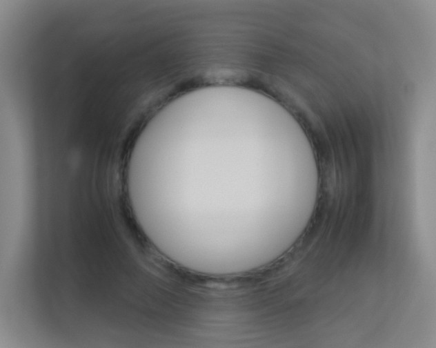 X0000113890690200909241142