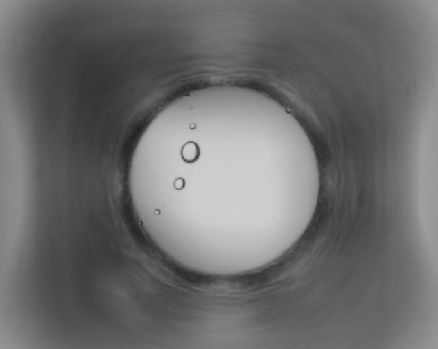 X0000113890691200909241142