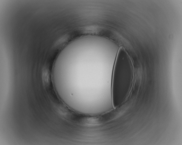 X0000113890692200909241142
