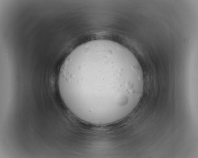 X0000113890698200909241142
