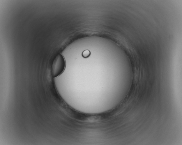 X0000113890700200909241142