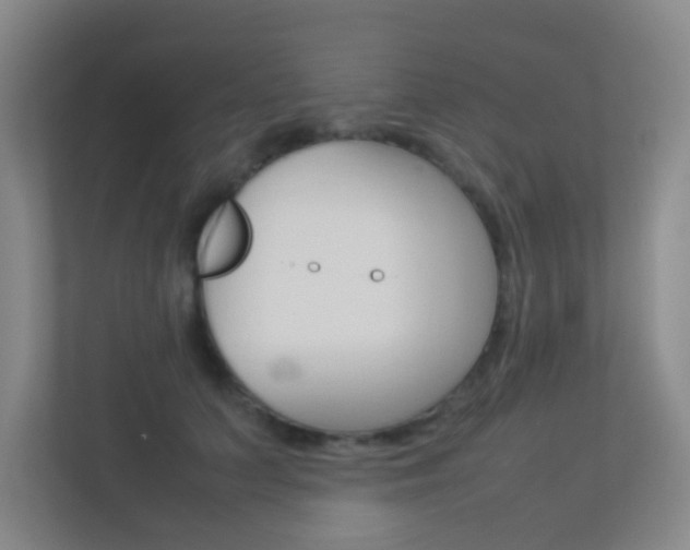 X0000113890703200909241142
