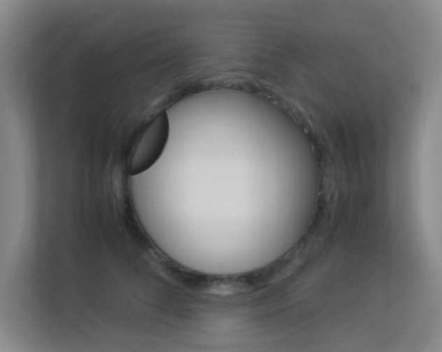 X0000113890708200909241142