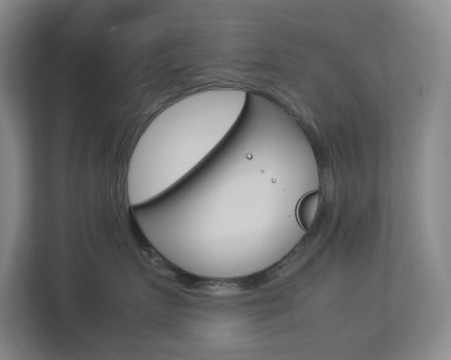 X0000113890719200909241142