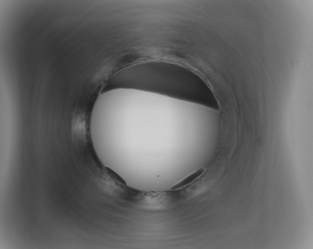 X0000113890720200909241142