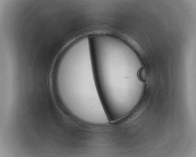 X0000113890722200909241141