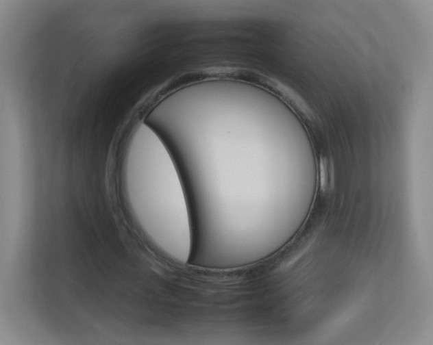 X0000113890723200909241141