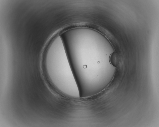 X0000113890728200909241142