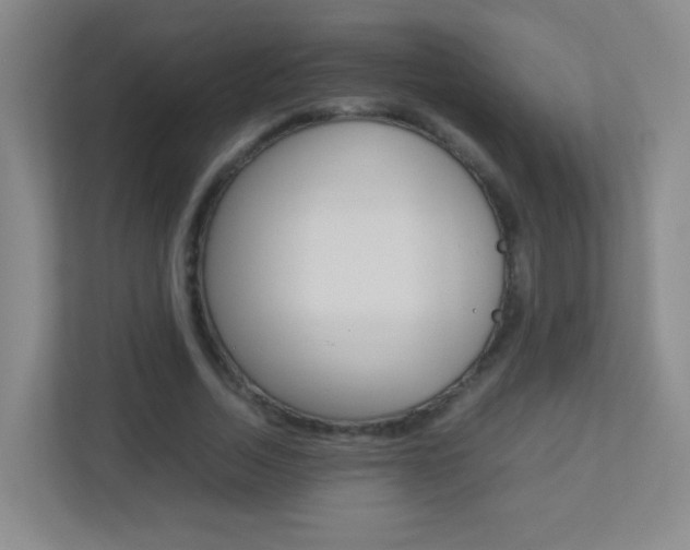 X0000113890730200909241142