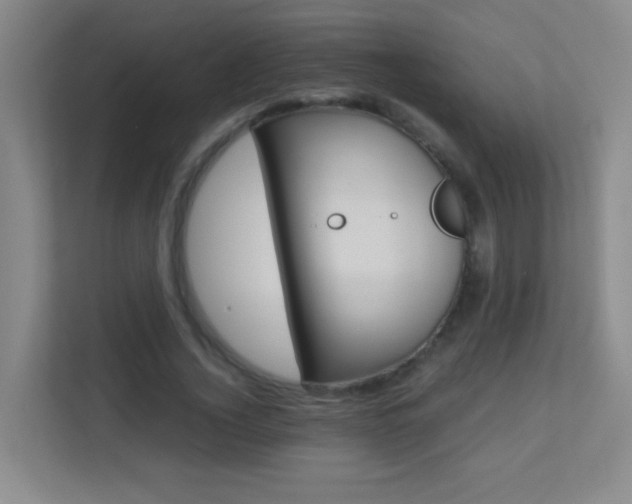 X0000113890732200909241142