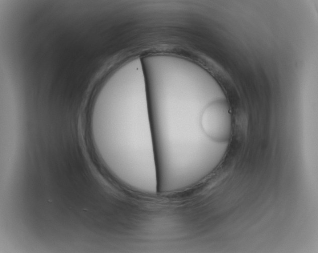 X0000113890734200909241142
