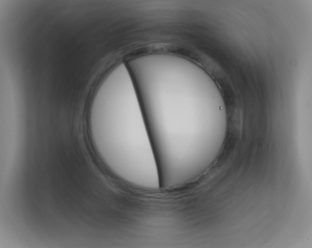 X0000113890738200909241142