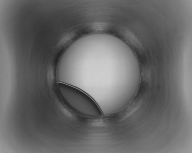 X0000113890740200909241142