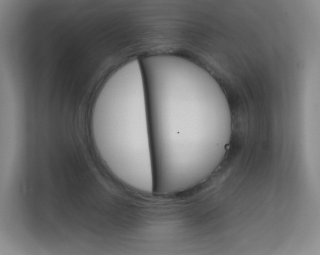 X0000113890742200909241142