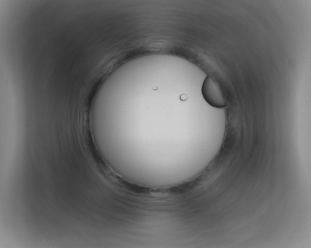 X0000113890744200909241142