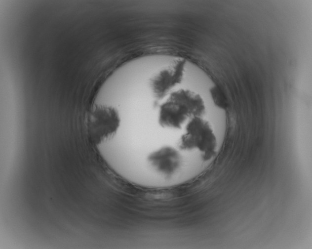 X0000113890745200909241142