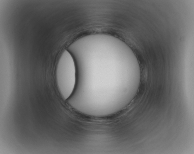 X0000113890746200909241142