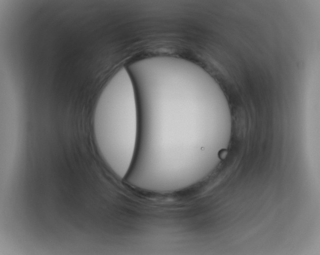 X0000113890747200909241142