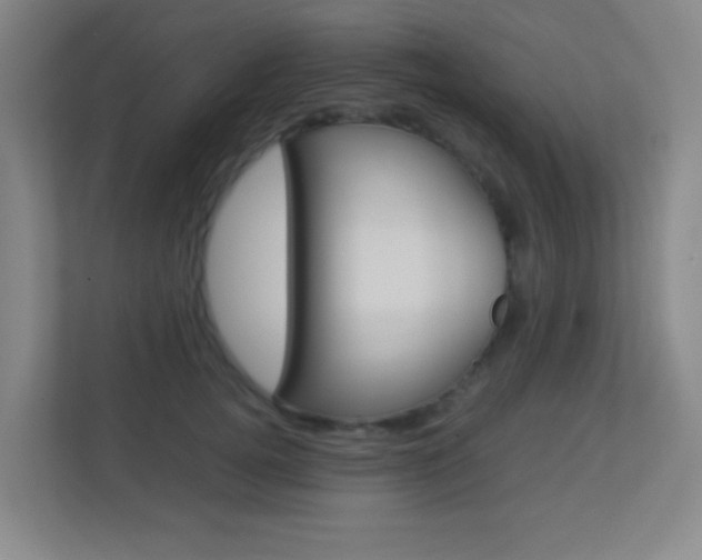X0000113890752200909241142
