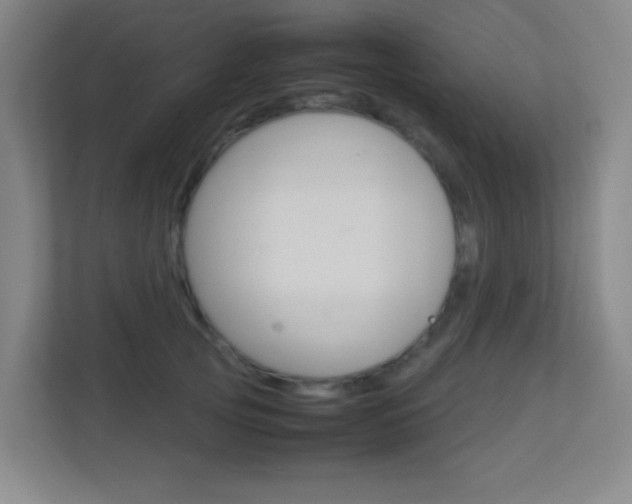 X0000113890753200909241142