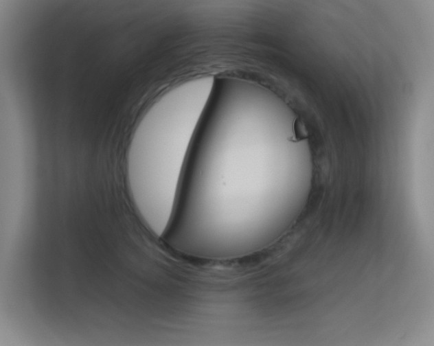 X0000113890756200909241142