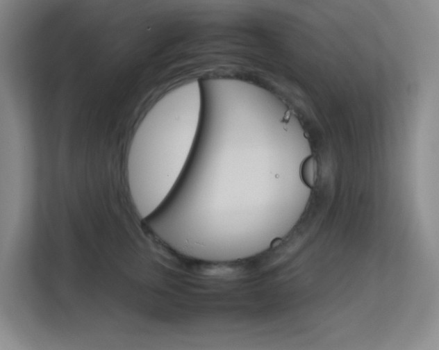 X0000113890759200909241142