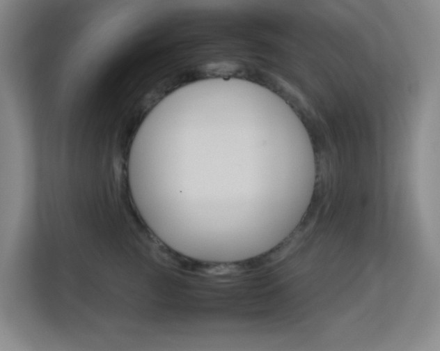 X0000113890761200909241142