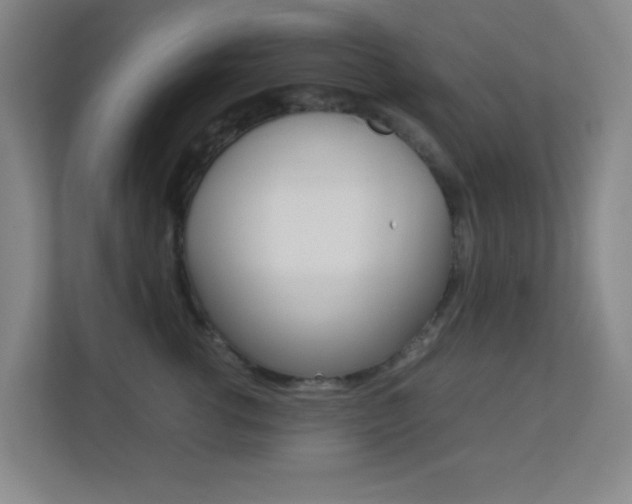 X0000113890762200909241142
