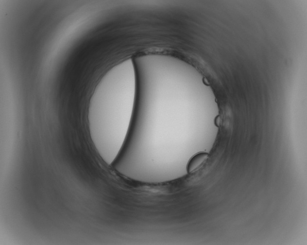 X0000113890763200909241142