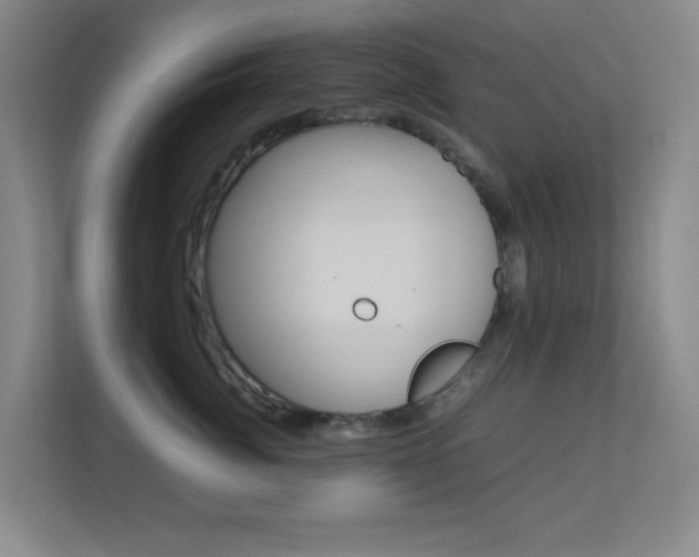 X0000113890764200909241142