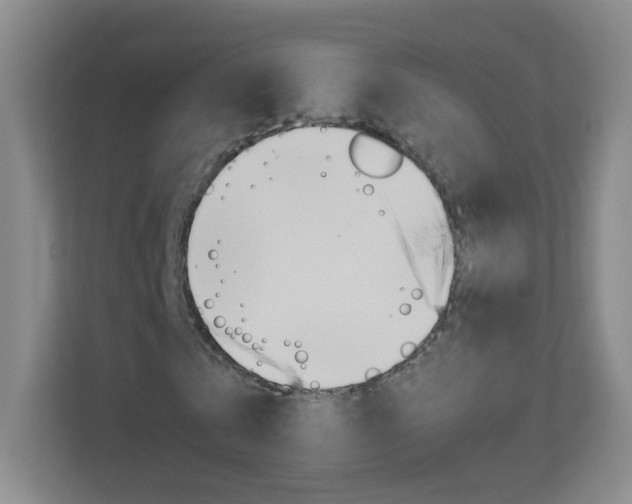 X0000113890769200909241141