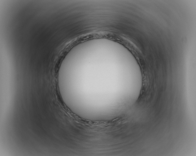 X0000113890773200909241141