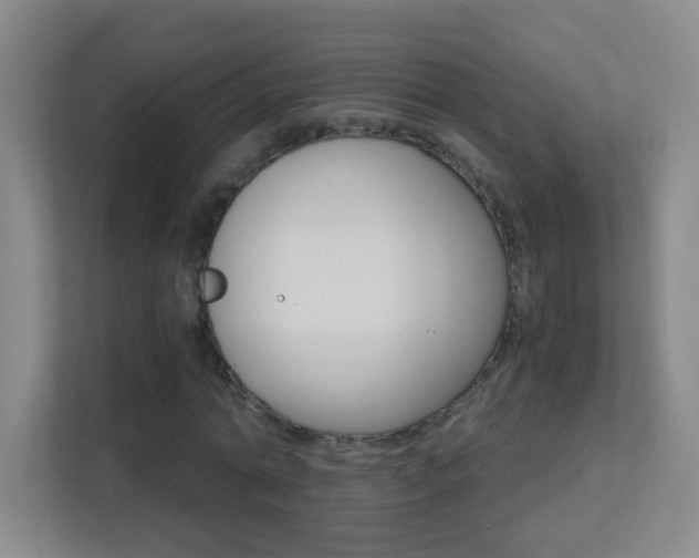 X0000113890774200909241141