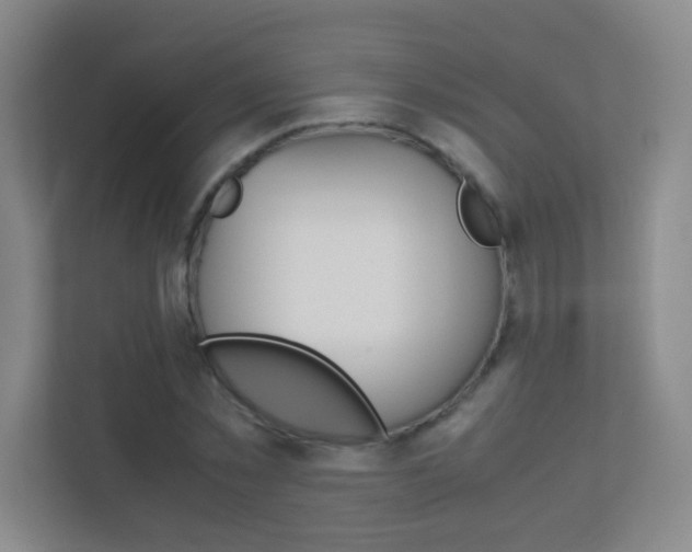 X0000113890781200909241141