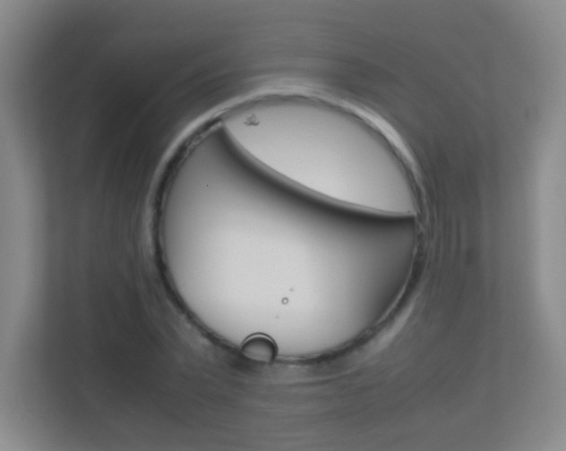 X0000113890783200909241141