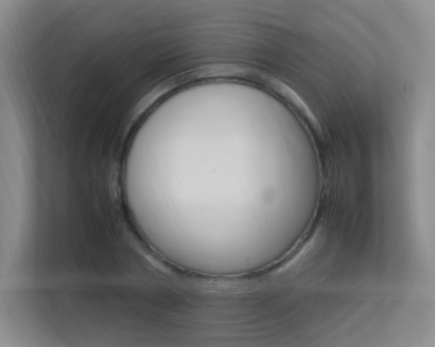X0000113890786200909241141