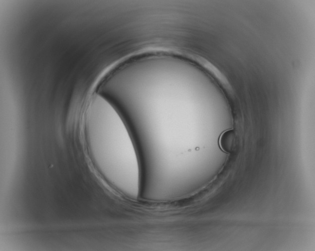 X0000113890791200909241141