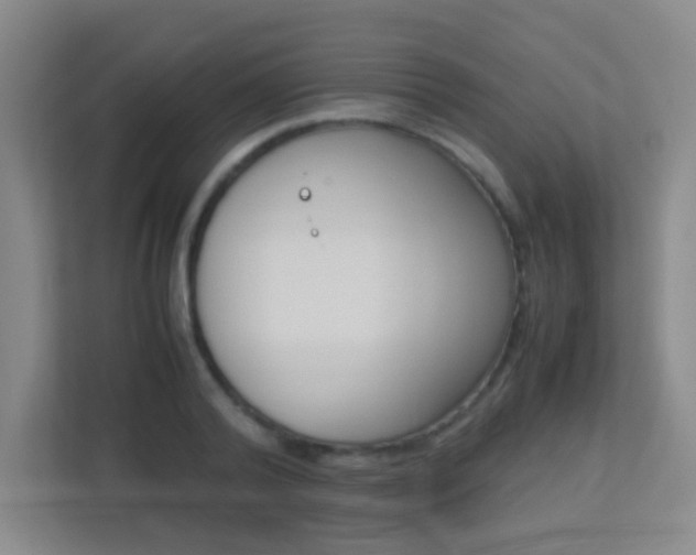 X0000113890792200909241141
