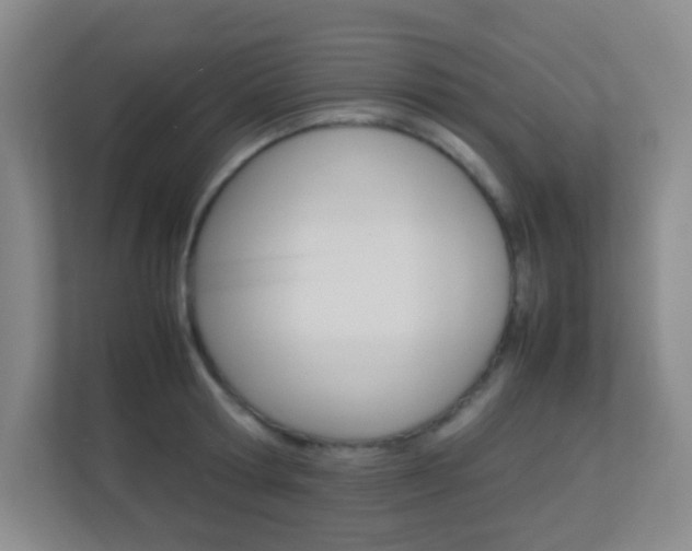 X0000113890802200909241141