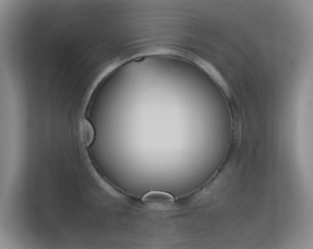 X0000113890805200909241141